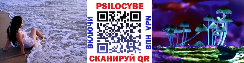 Купить закладки  Волгодонск  Псилоцибиновые грибы Psilocybe 